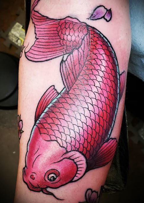 Koi-fish