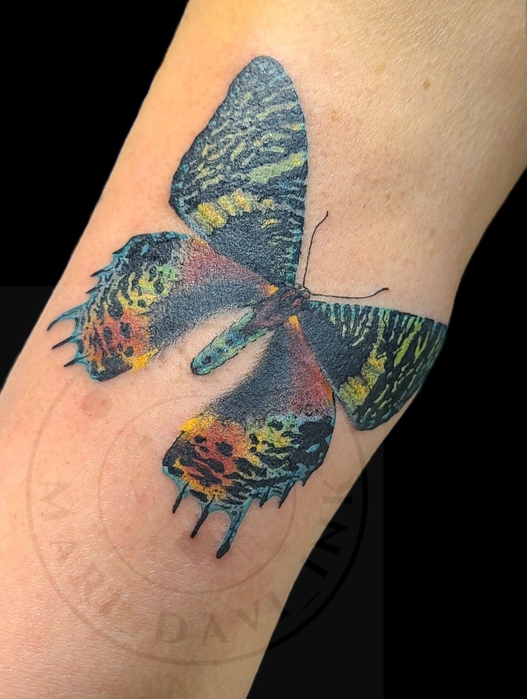 Screenshot_20211230-134046_black_effects