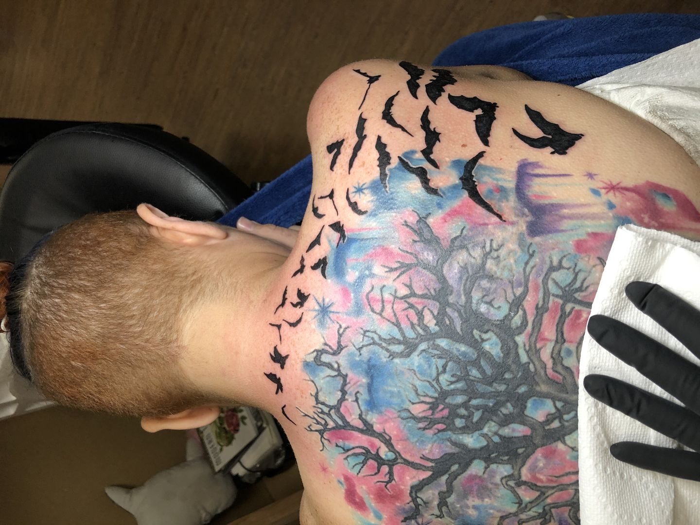 3cceaa77-ca09-4861-b7bd-0a4b8ab743fd