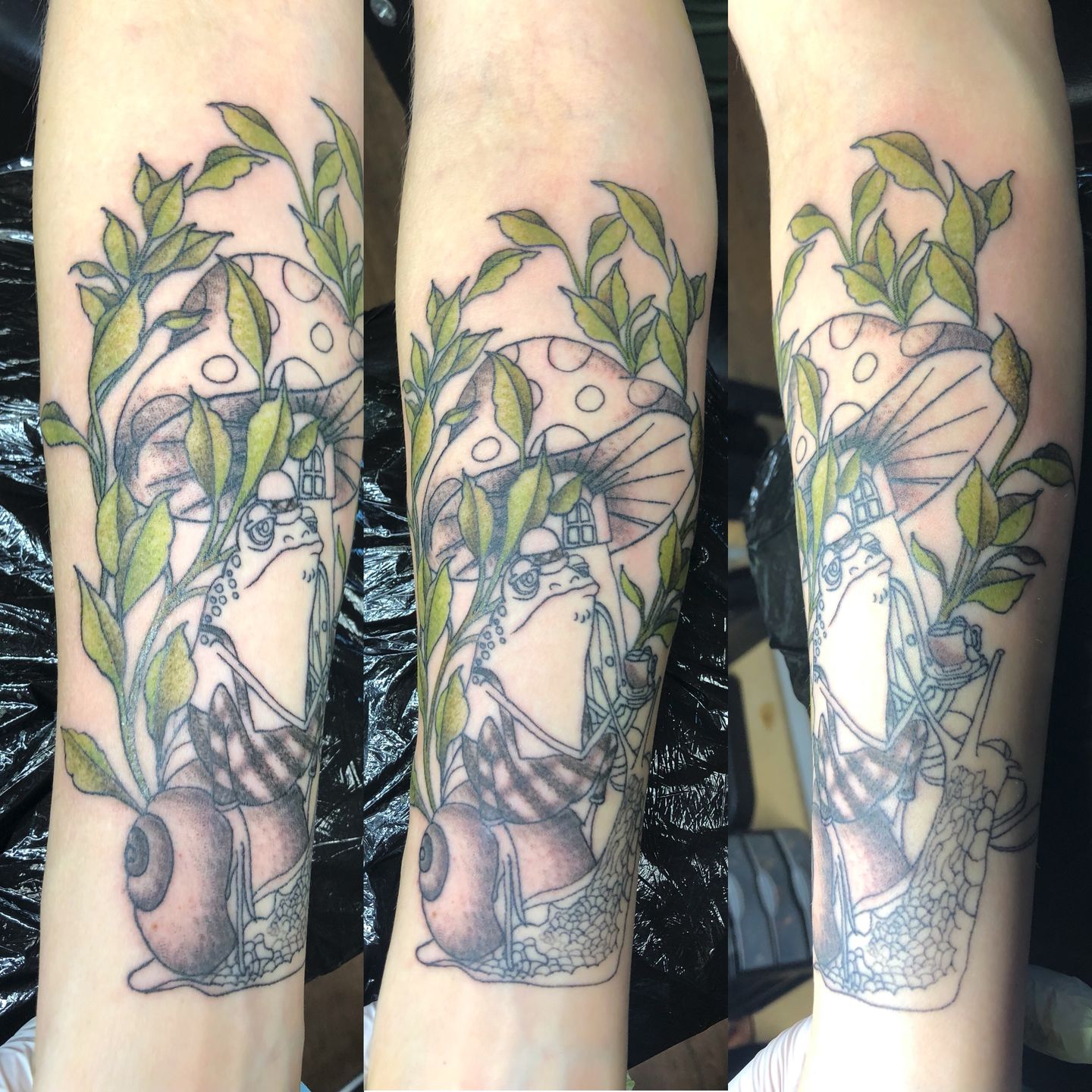 17fe97ba-a08f-48e6-b398-0eaa503b2f1e