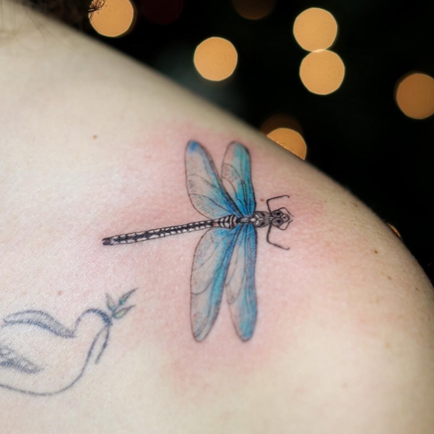 7a29e265-9b90-413e-b382-ebb6812cef8c