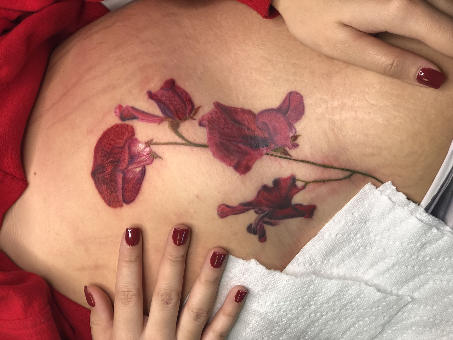 7e196c53-f66e-4fc4-a086-fac8541bc453