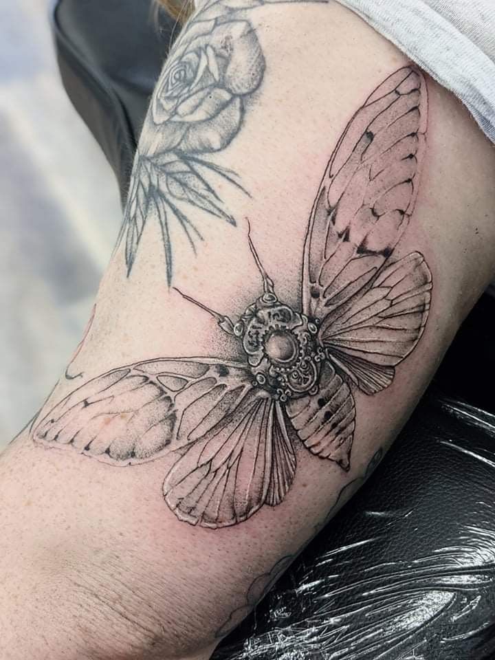 0895aec1-a903-4a27-8887-638ac7974c3b