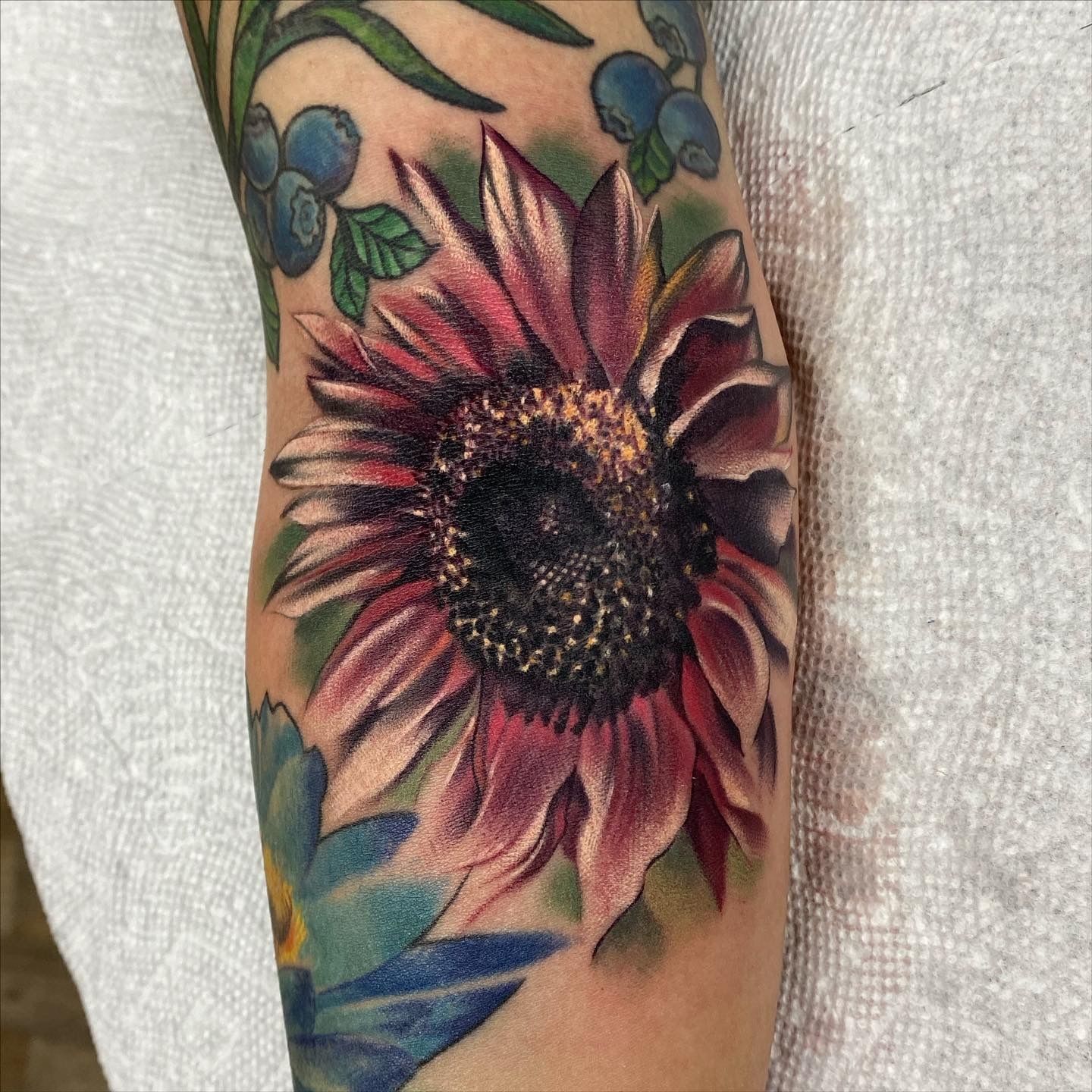 F913f653-9dc3-4b10-b212-ce1d764cd330