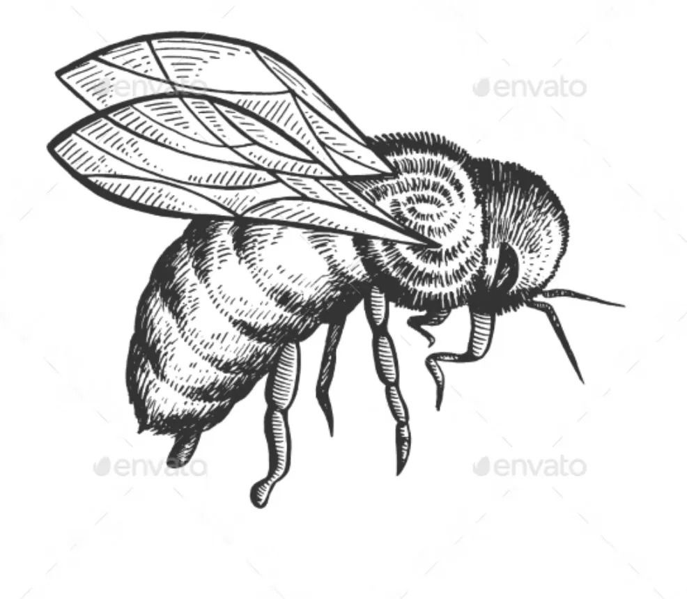 Img_20220127_110118_009