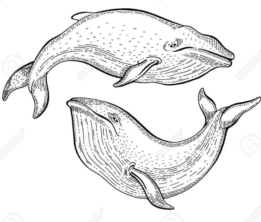 Img_20220127_110118_155