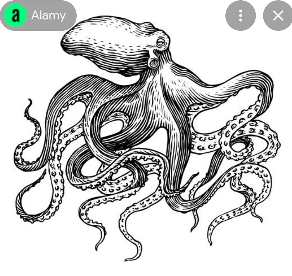 Screenshot_20220127-104643_google