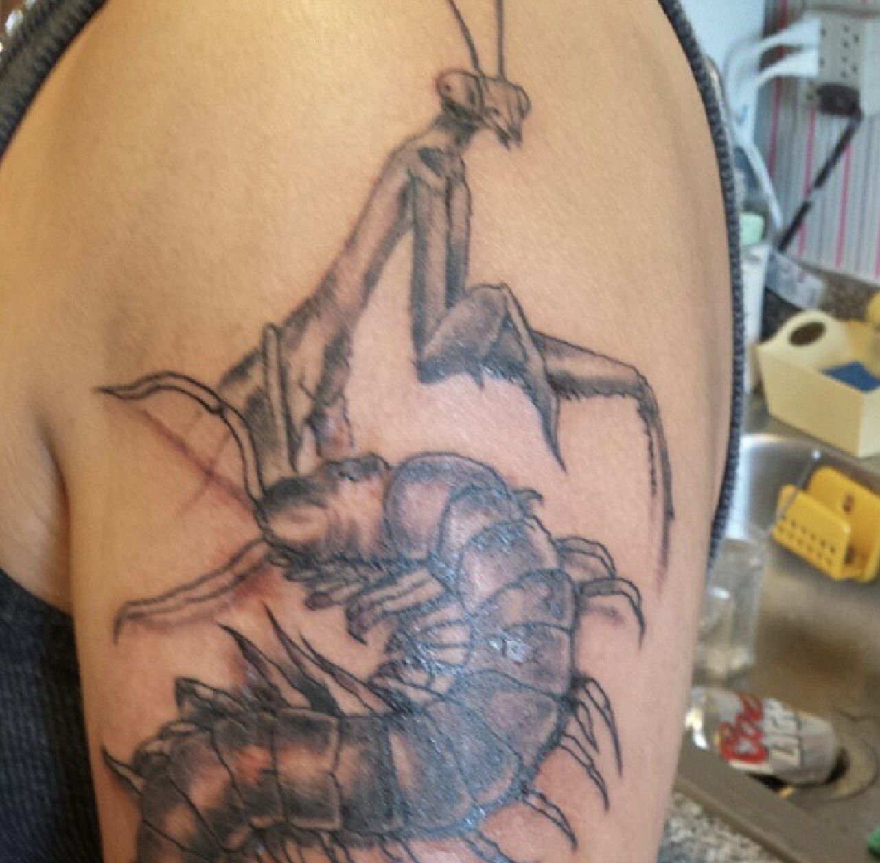 Cc96157f-afa1-4b95-a86d-ea28353499e0