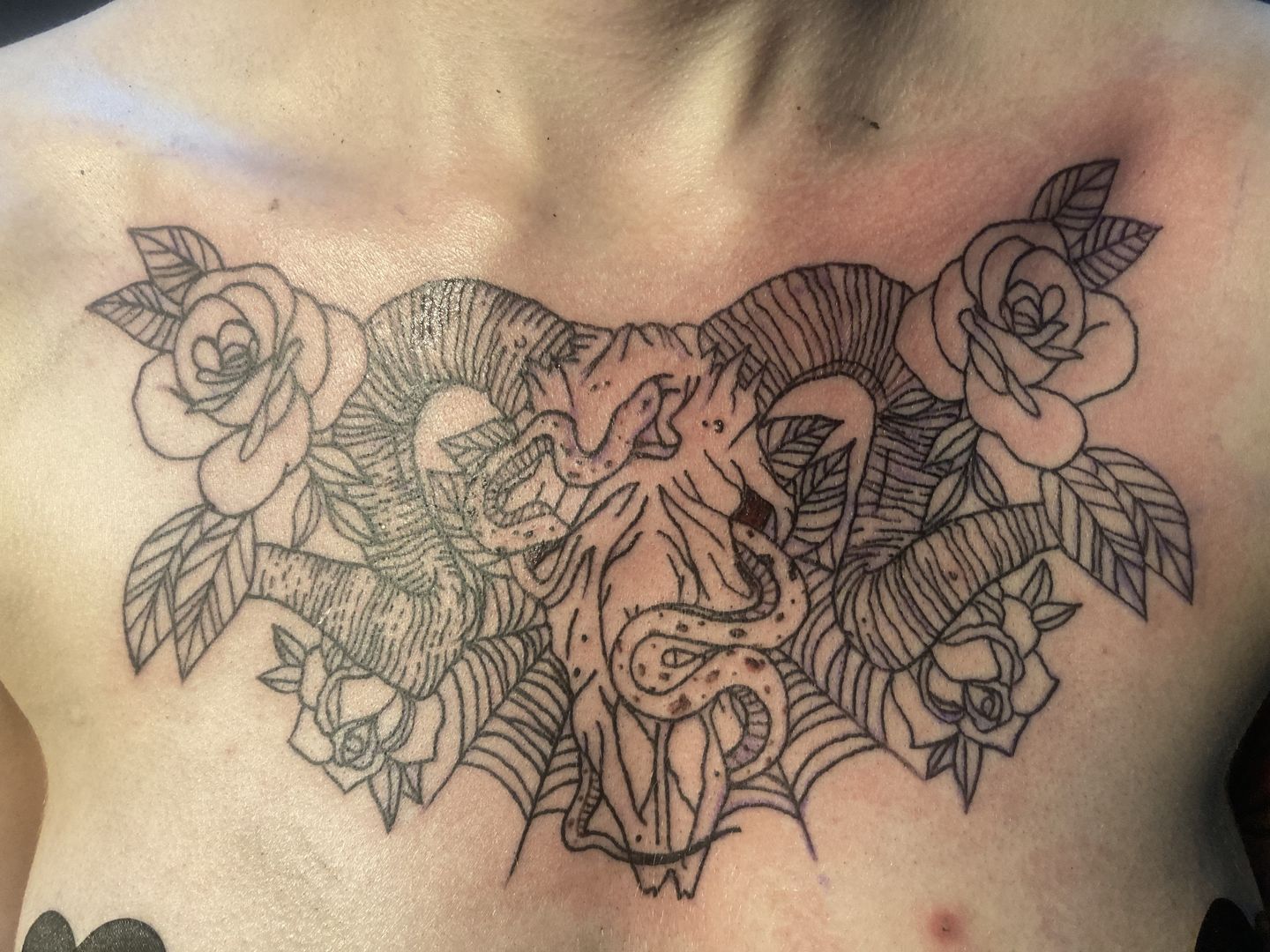 96799ee7-ee83-4ec3-af11-13e55030a658