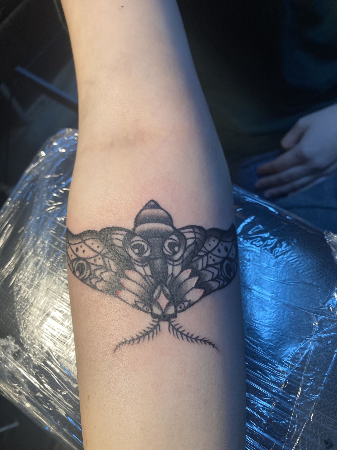 2e2083c7-79e3-426b-8a2e-013f02b68603