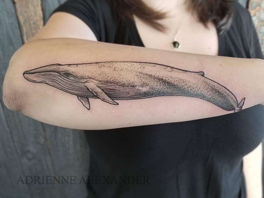 1a18fcfa-7f2c-2025-7568-c4c09a61a57e