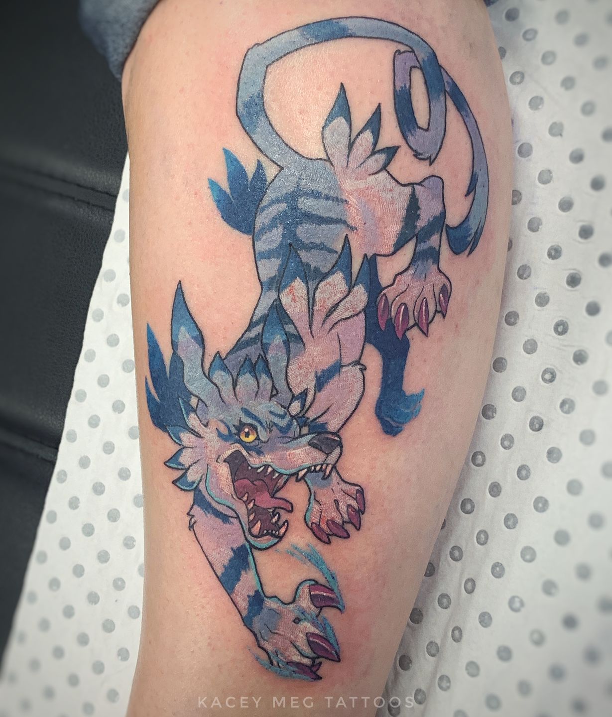 Photo_11-9-2019__4_32_54_pm