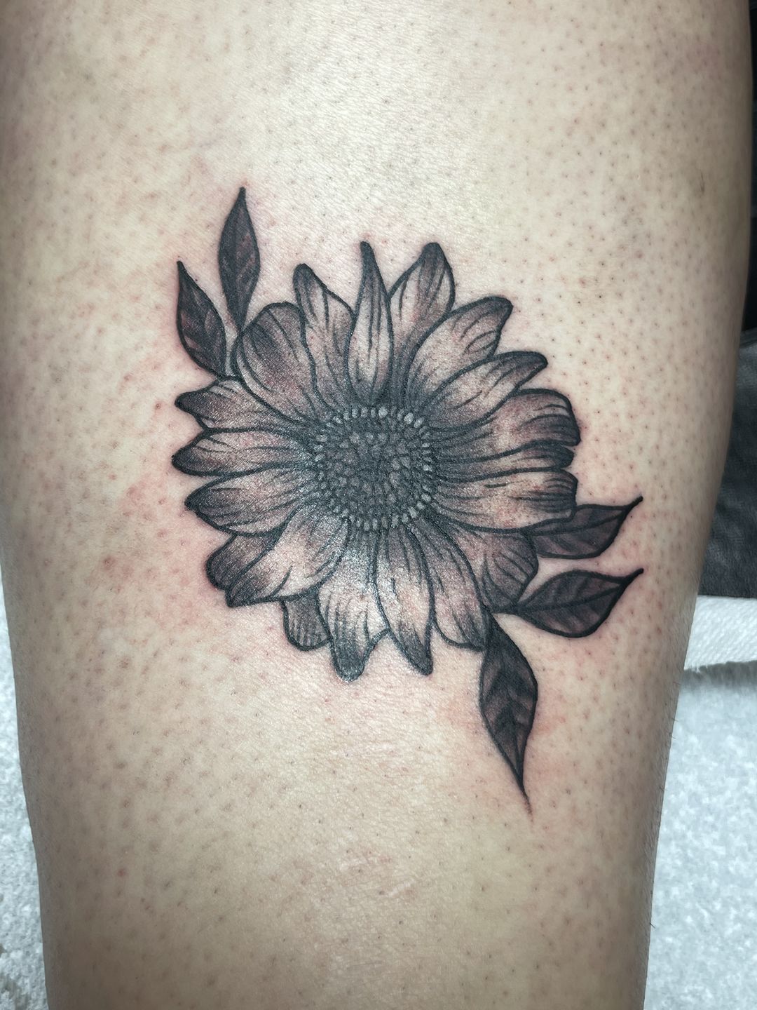 E58c17d4-4fc1-4a91-aff5-eadb7597f7a3