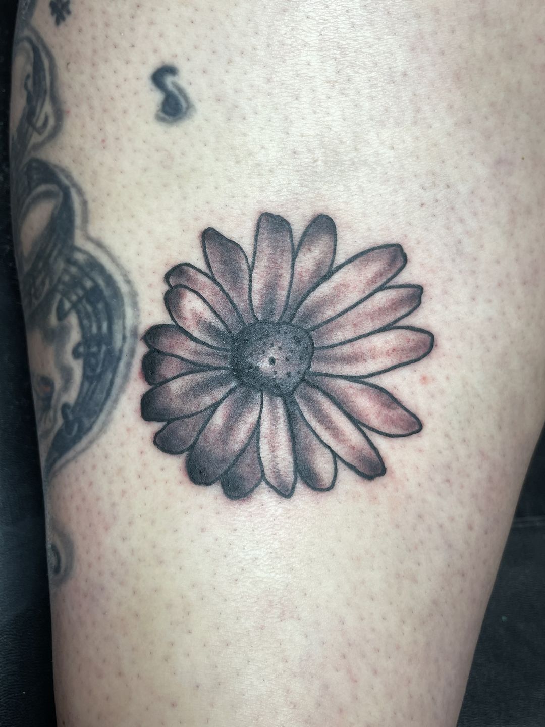 34ca081e-77b4-466c-acfb-1d9ceb04d2a7