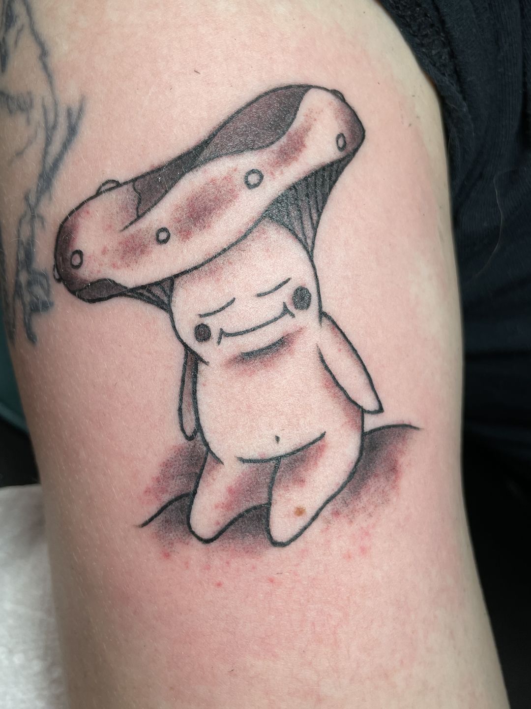 556b6908-d7b3-4ff7-886a-e4b22c95b378