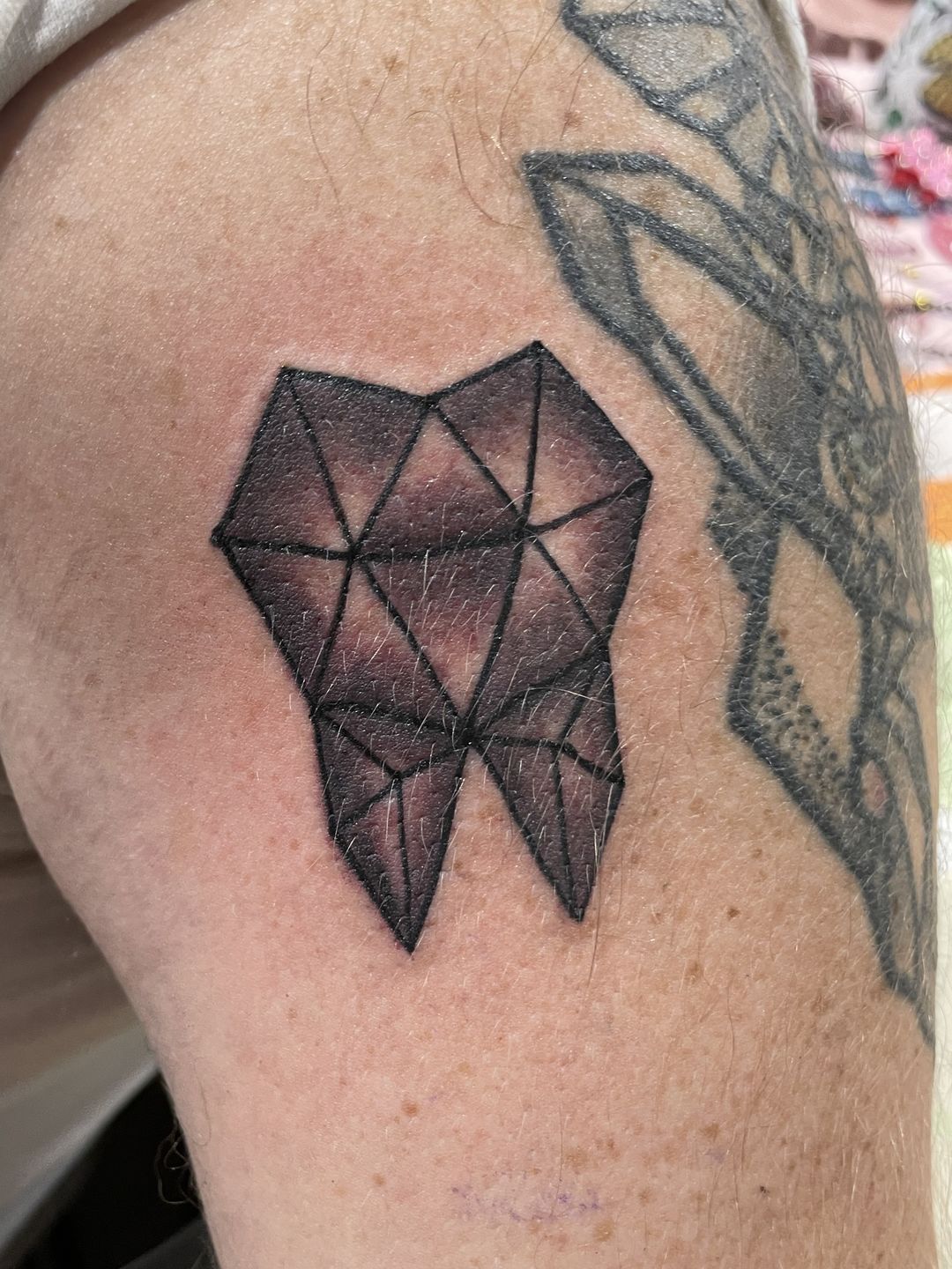 7328259e-5622-4cf0-af76-2ca957d3886a