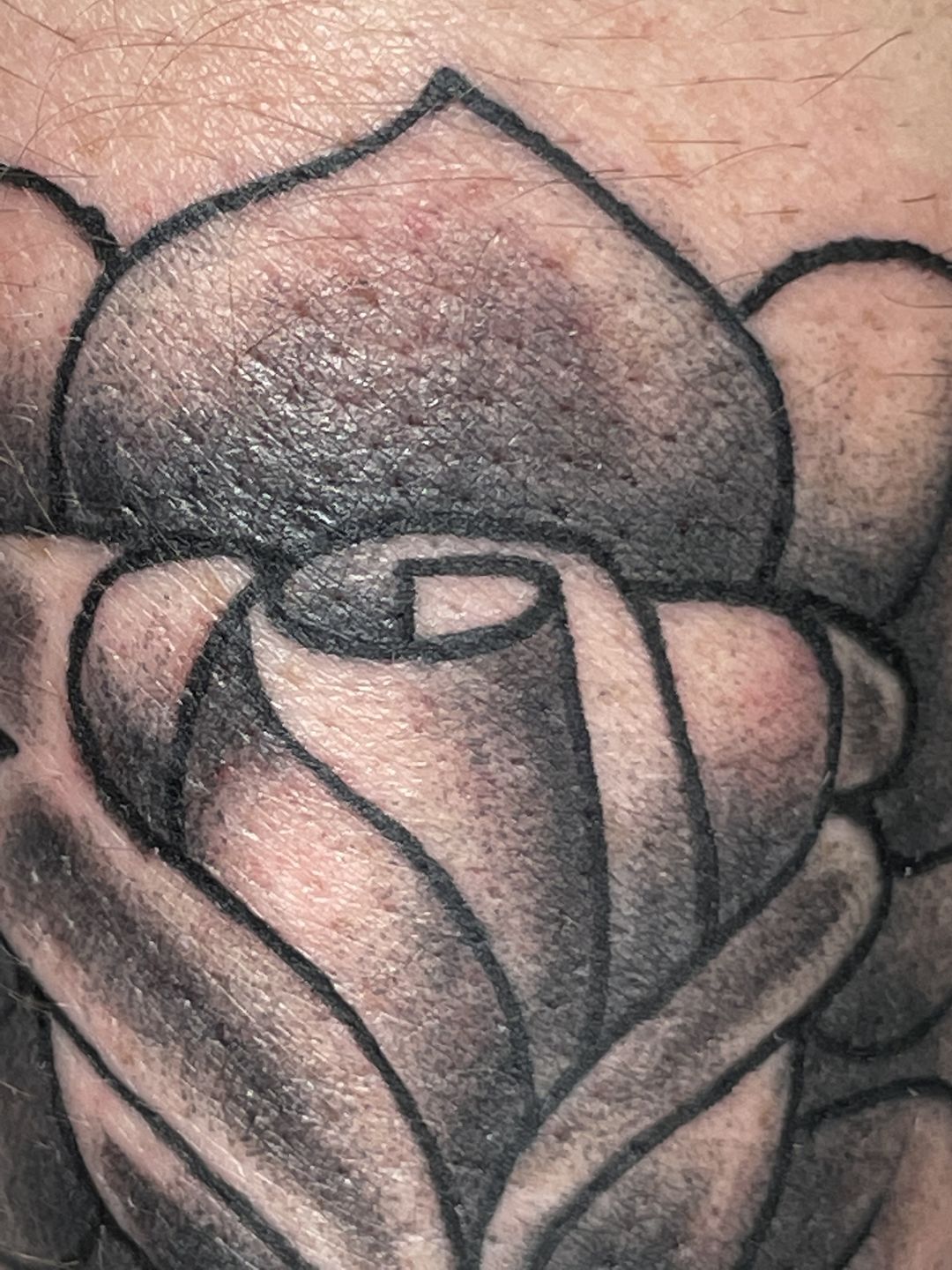 184c4d7c-2dea-4209-8293-ed634bcfa02a