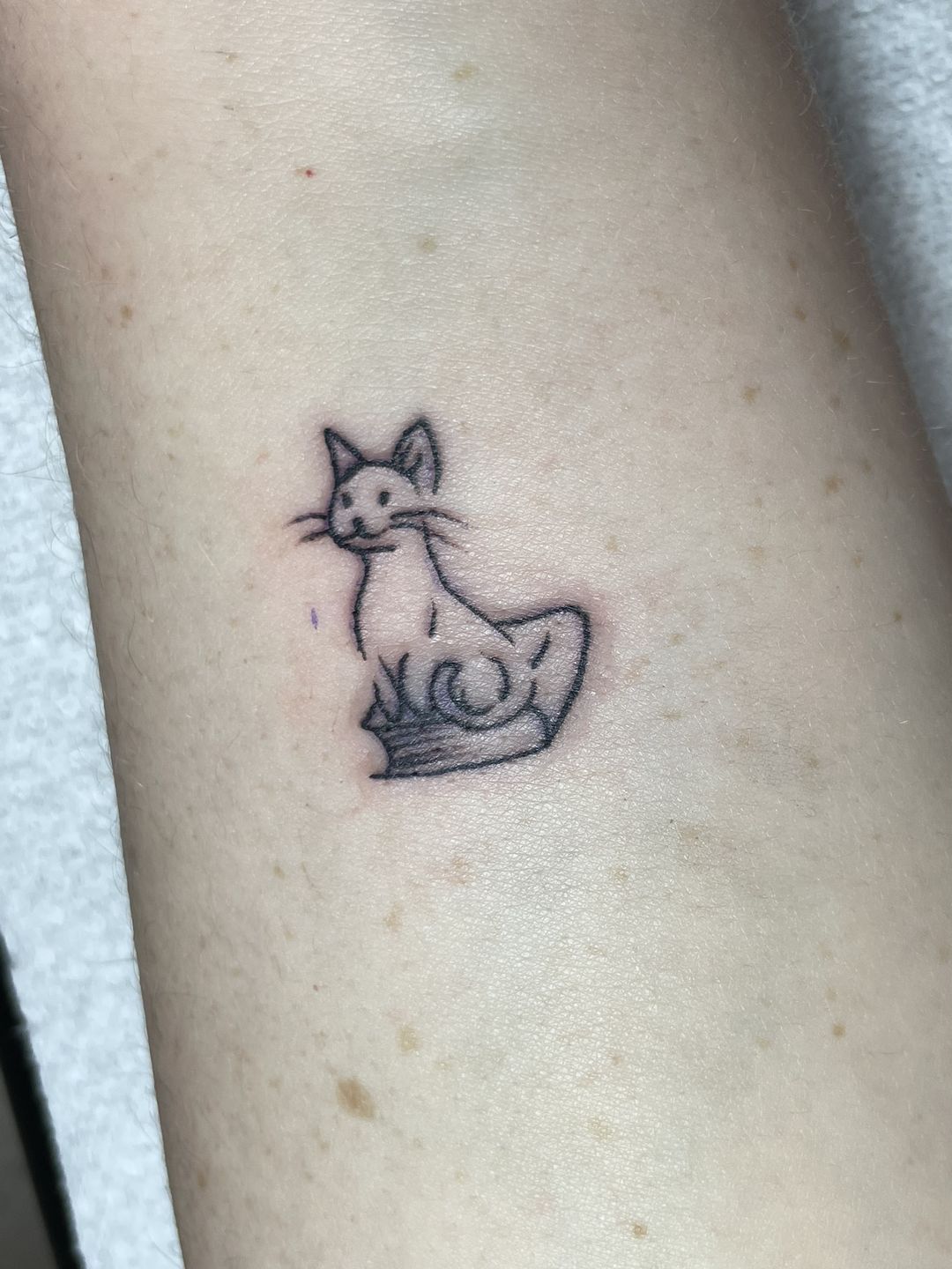 1f156867-0670-4265-a232-e3816cc9b478