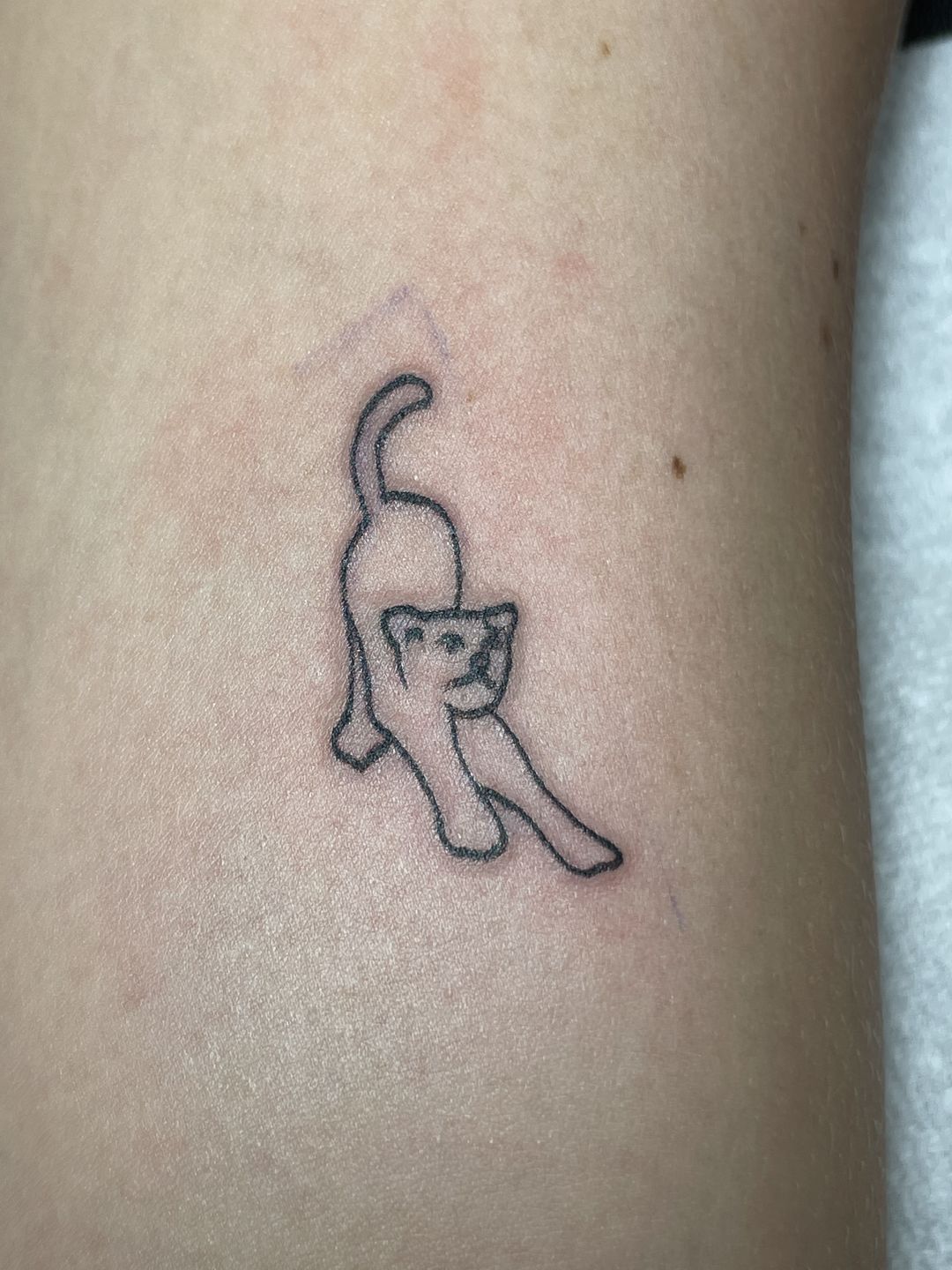 2af4c025-927f-4e21-8a54-9c5012db663e