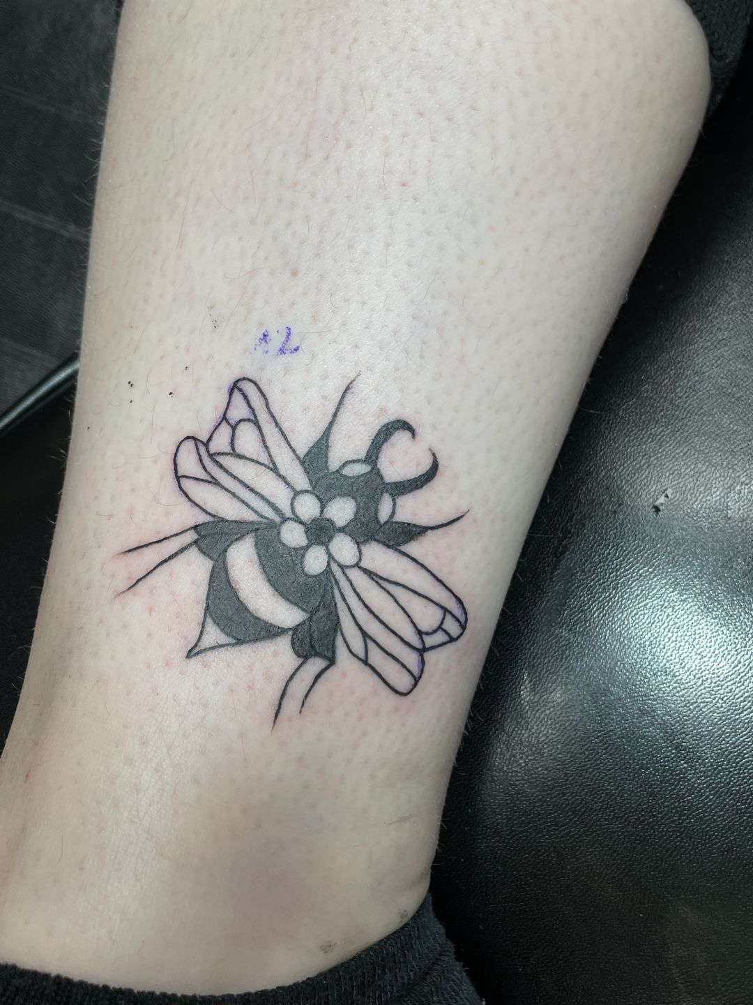 22482c48-c93c-4356-b769-187264f68666