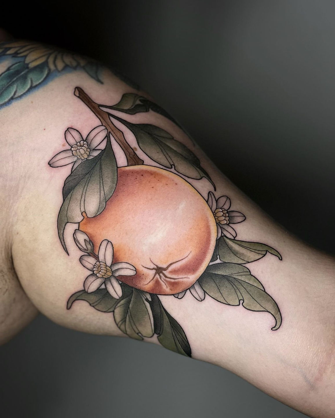 Adfc028d-aeb1-4f82-bcb3-f5c553b89521