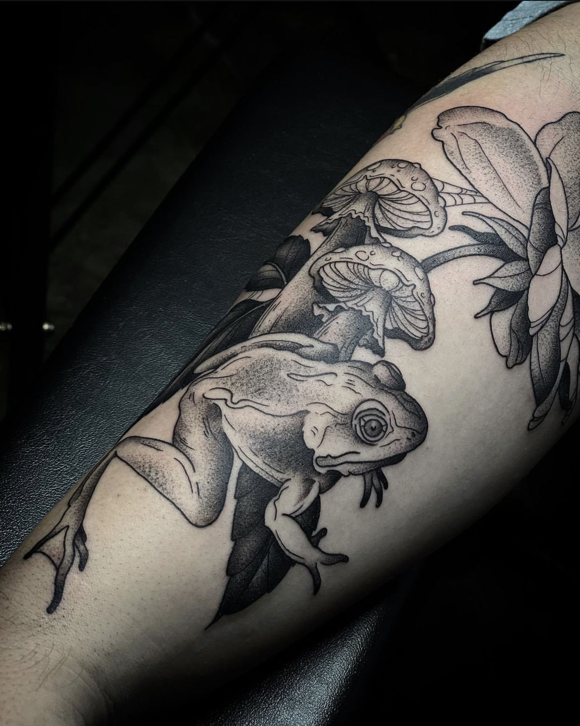 95ba70f9-6240-4288-8137-5a960e55b482