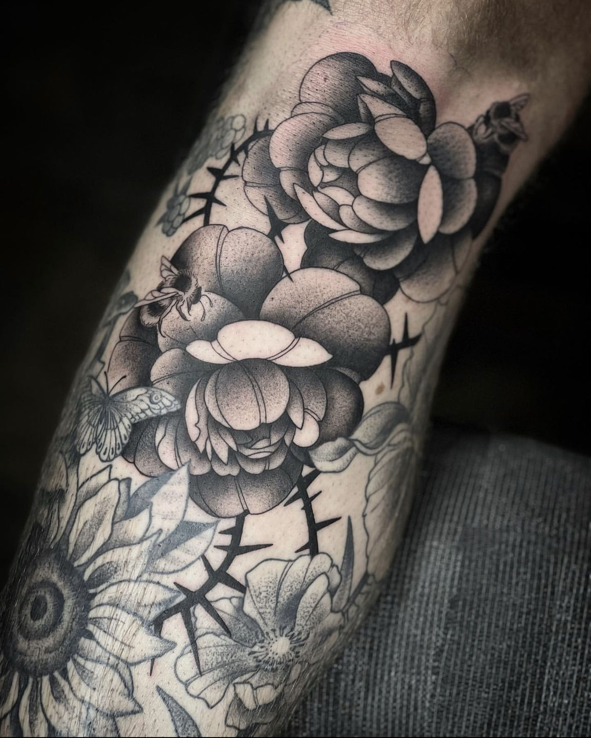 81019b42-f3d3-4e5b-aece-716a90e82ae4