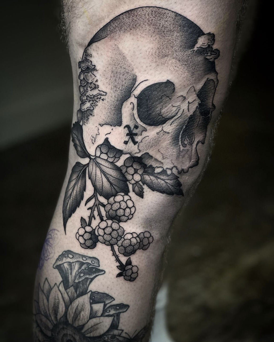 6818cecb-4a73-40aa-a19a-1725605e4f28