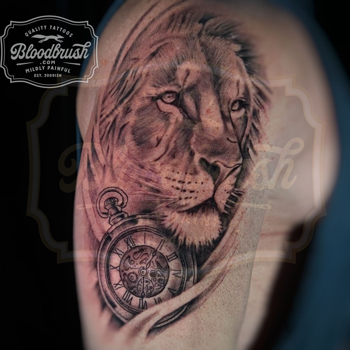 Ezy_watermark_19-10-2022_04-25-13pm