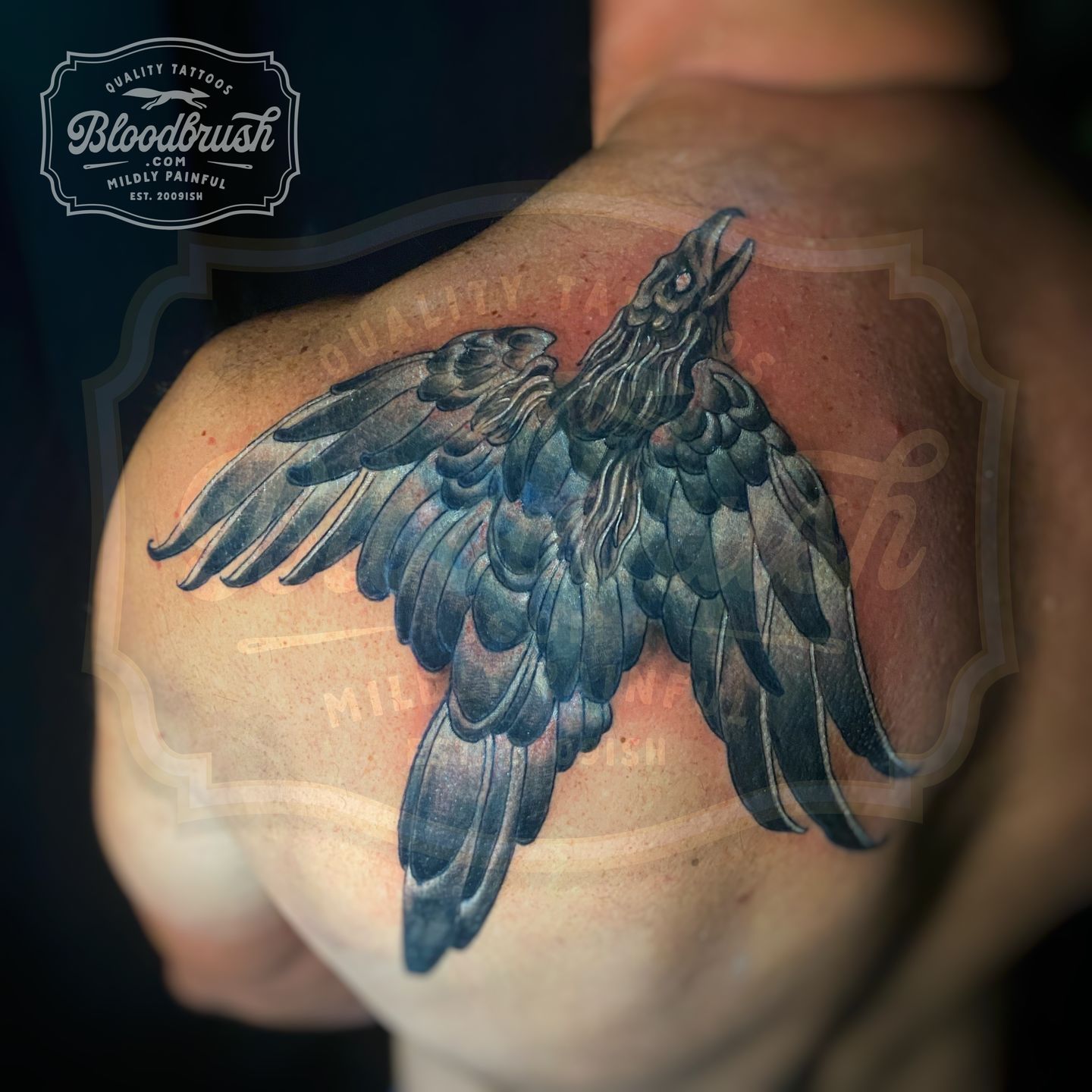 Ezy_watermark_07-09-2022_01-27-36pm