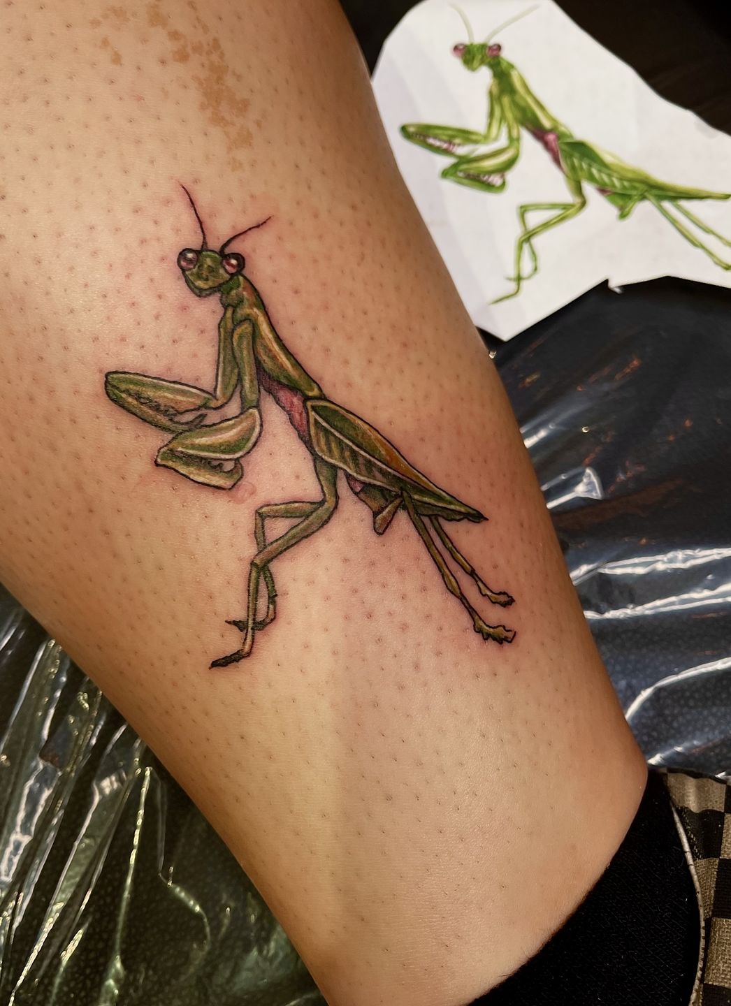 4981007c-9c90-4d9e-8f4e-72e8c85787d1