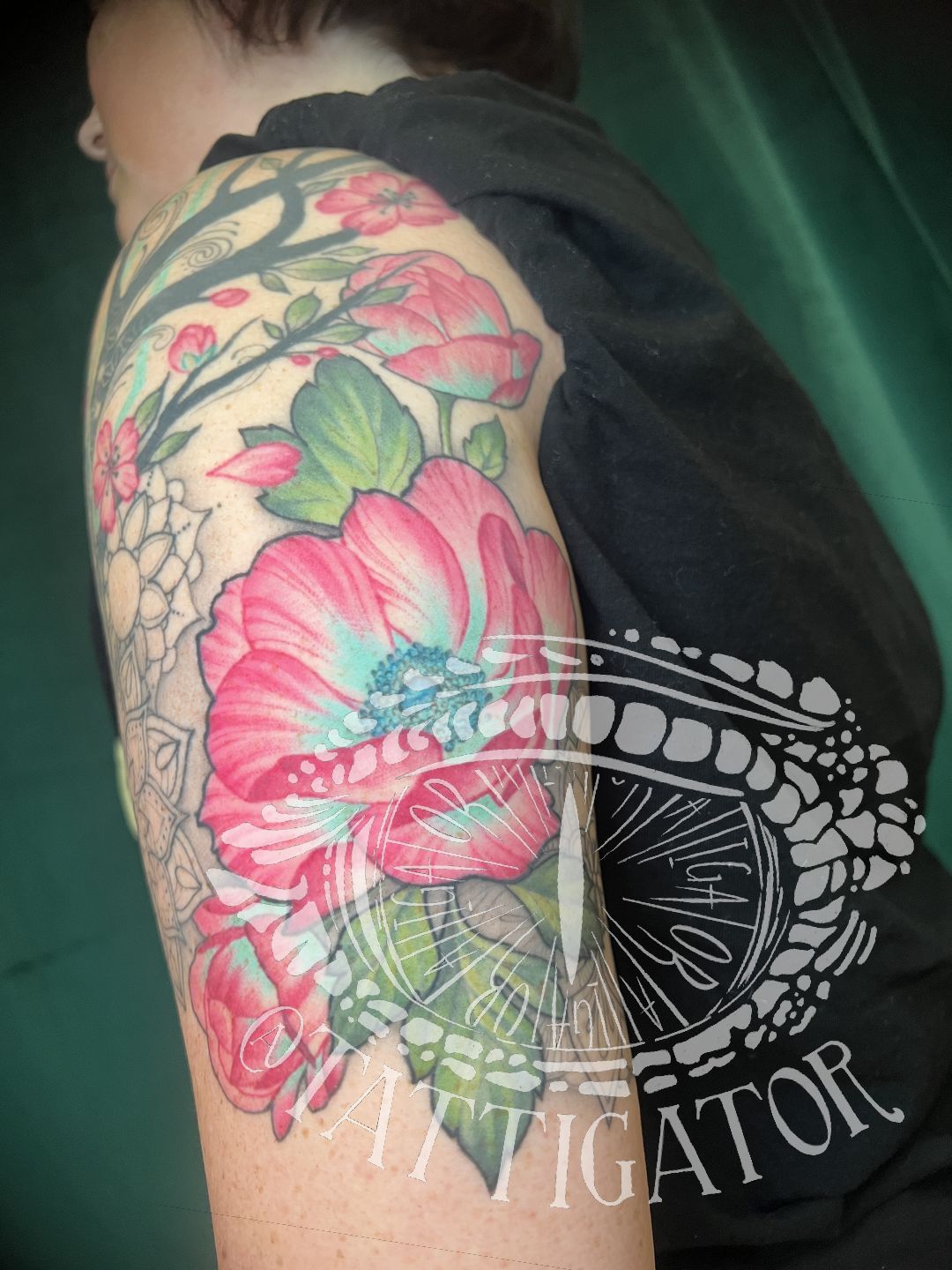 7032db69-47e6-4e8d-a727-fb7abdde1525