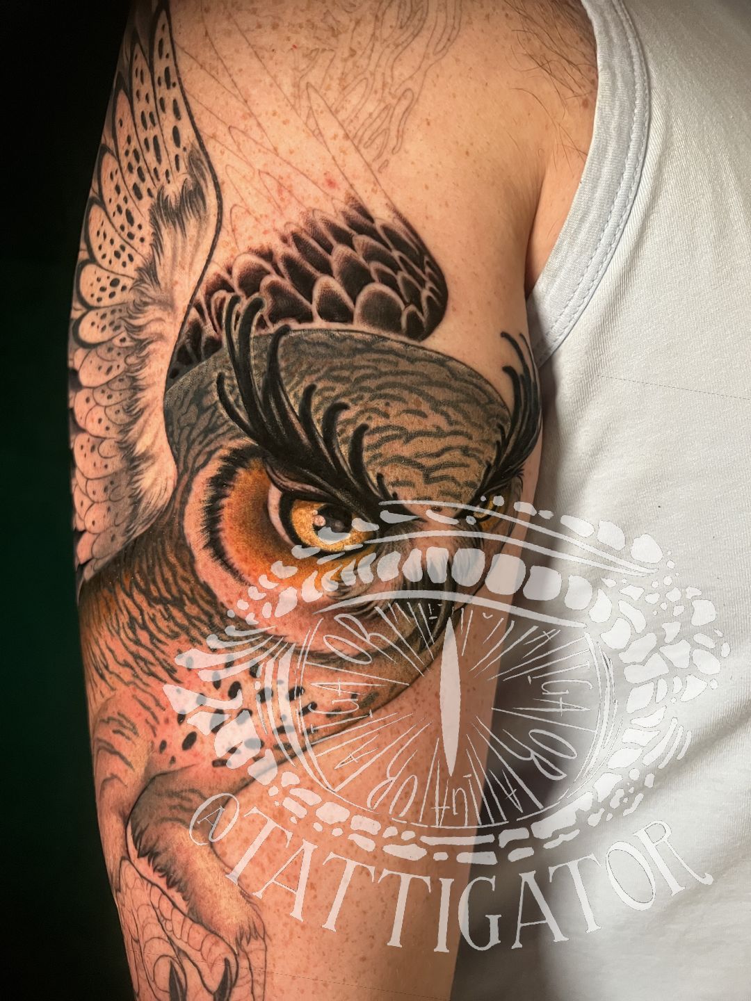 6c4913bb-8bab-498f-8a6b-4fa4d94f2616