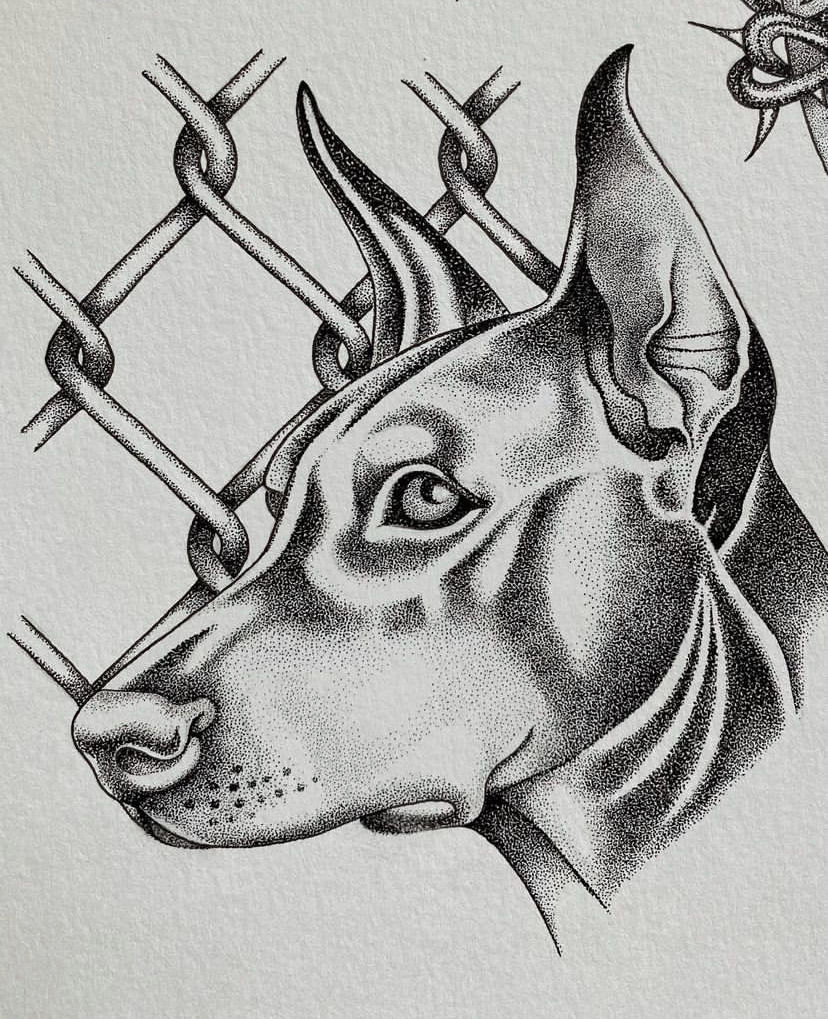 6458458a-c2b6-42f3-a427-ab1cc5412dc7