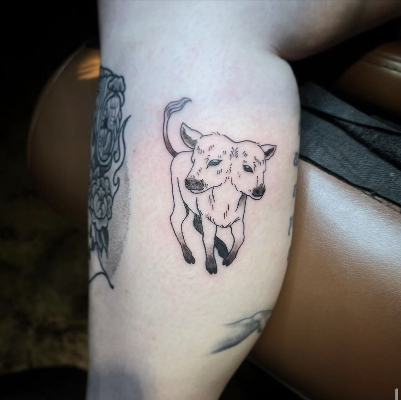 3b93ca9e-4fb5-4e3f-86ca-aa1fceaee8ea