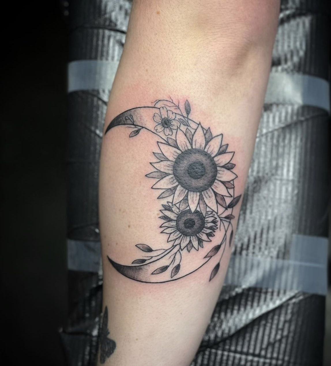 31573ba6-e032-43ce-92a1-e2add4817758