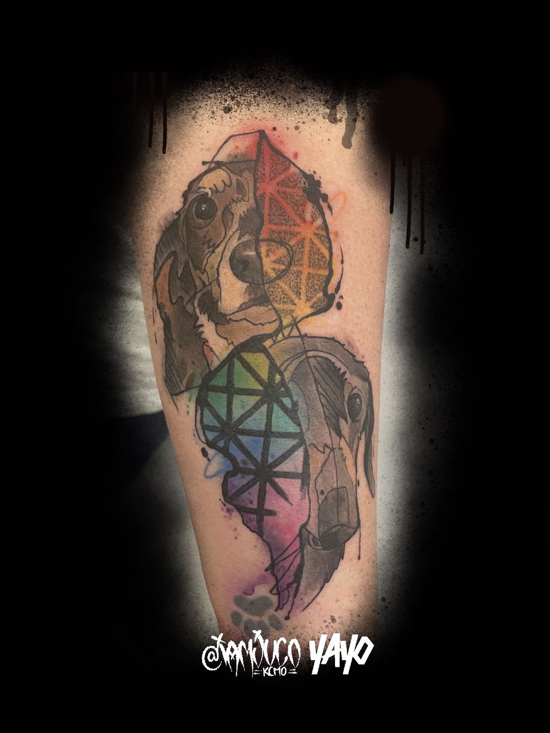 2a2b6c54-7a84-4f3f-a218-e72e9522a157