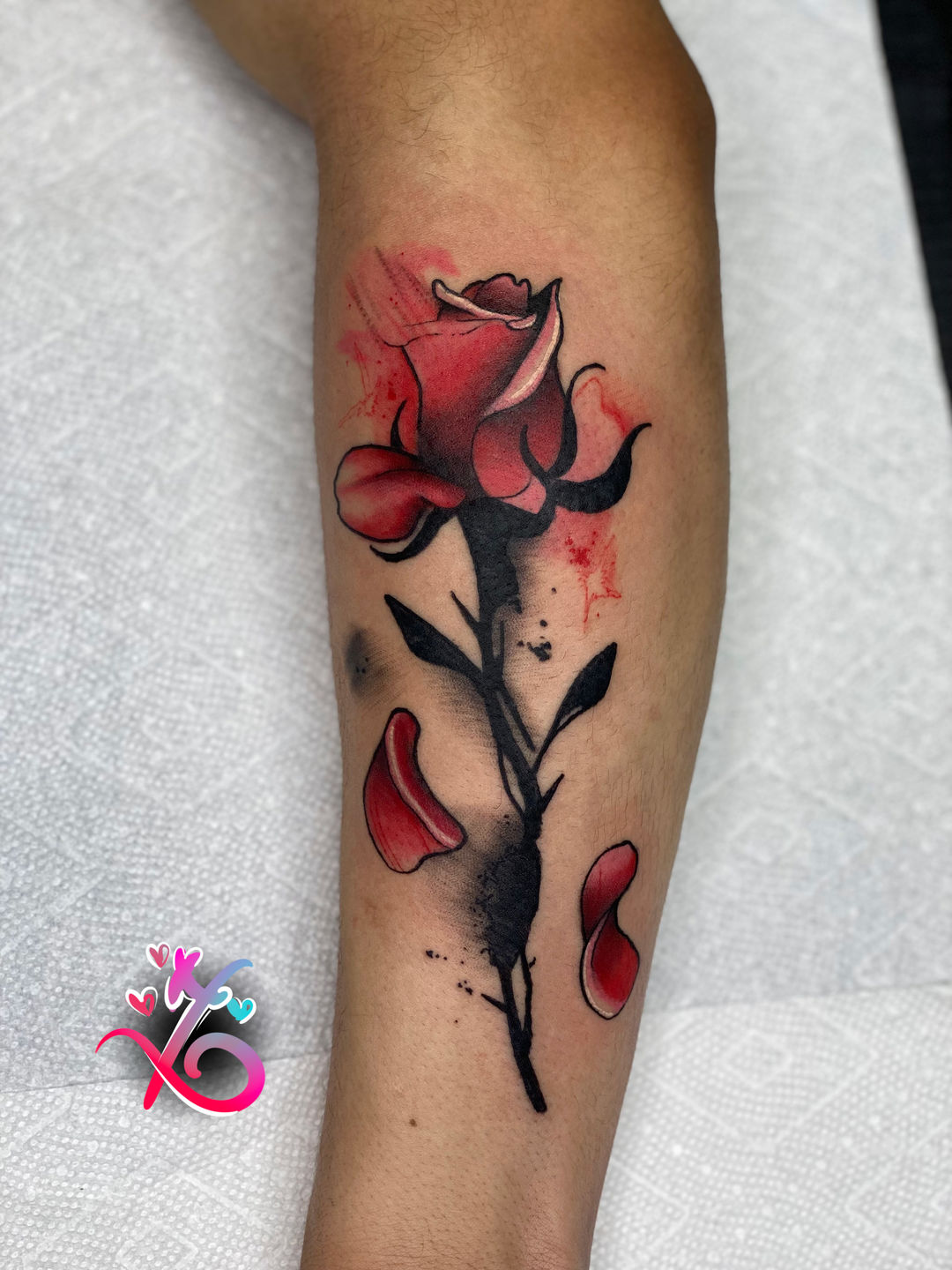 2ae4df1a-8b6d-4a17-a92e-d1d86f19aad4