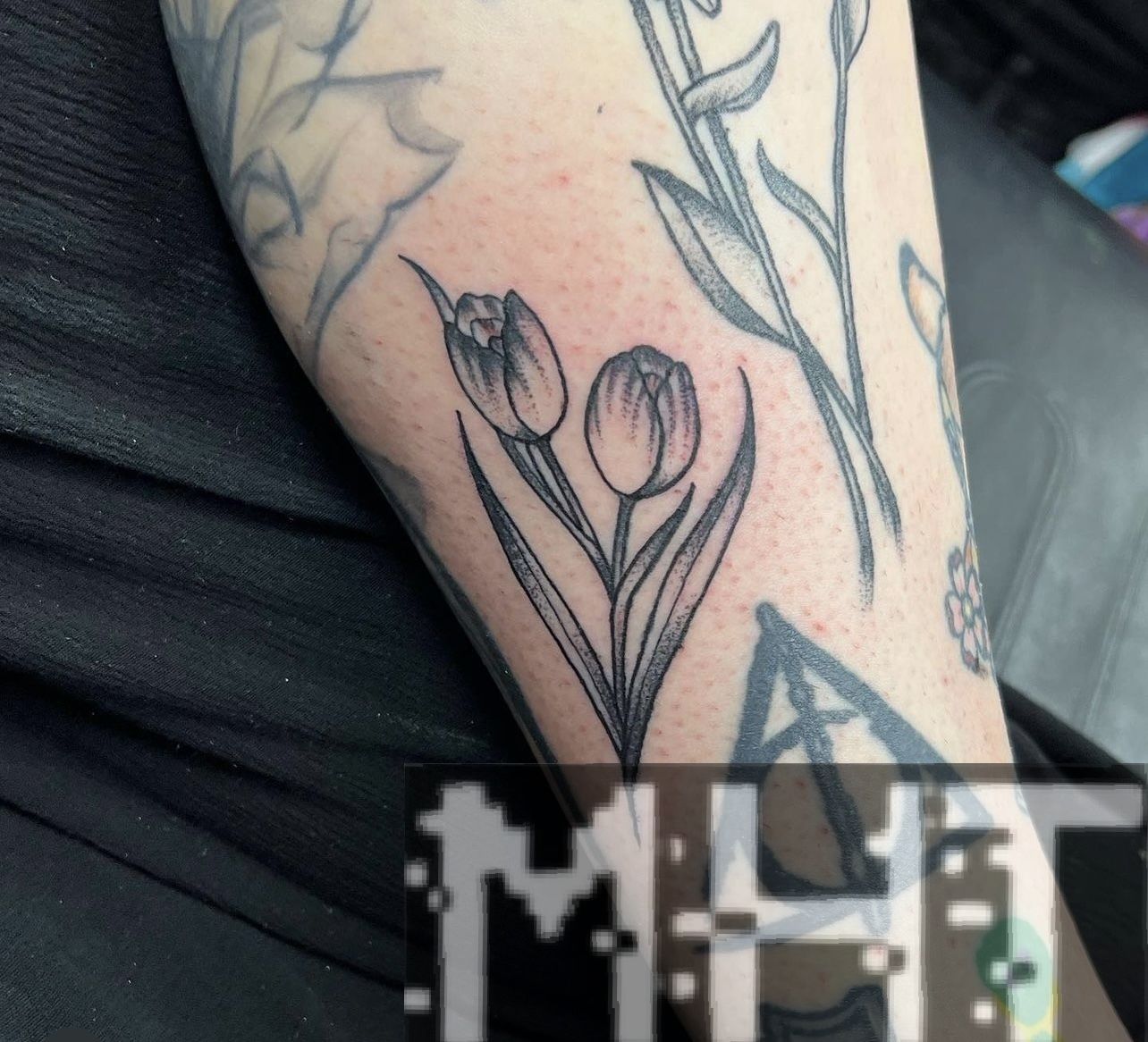 8bcb735a-7782-4bfa-a483-c81329e79db1