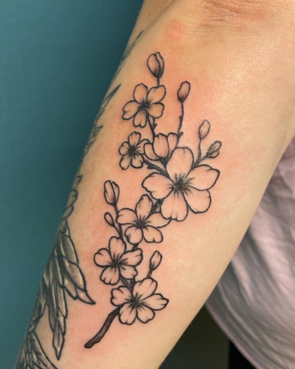 6e09c4fd-fa1e-4783-a3ba-f1919ef5dd44