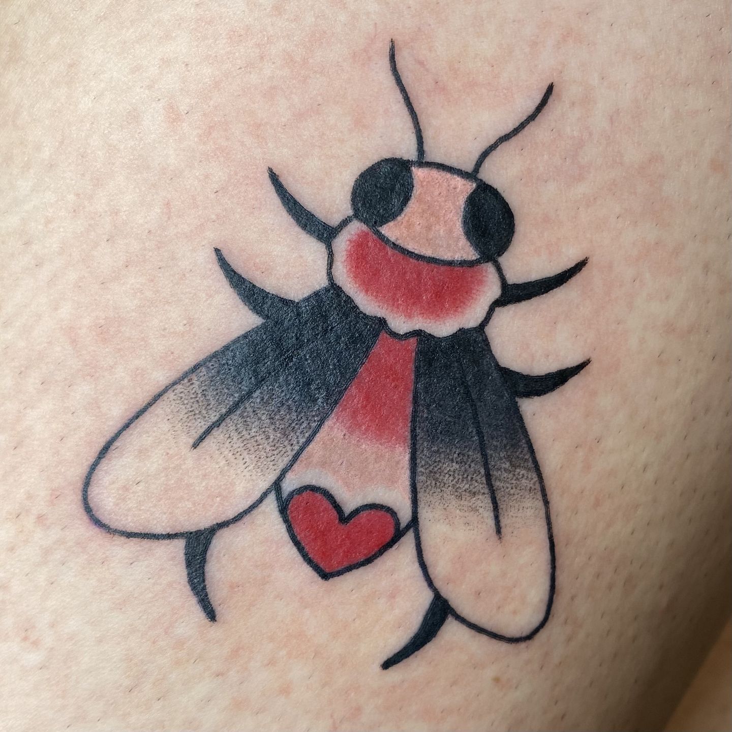 A2e9b5f5-c1b9-4734-9d44-2502049dca5a