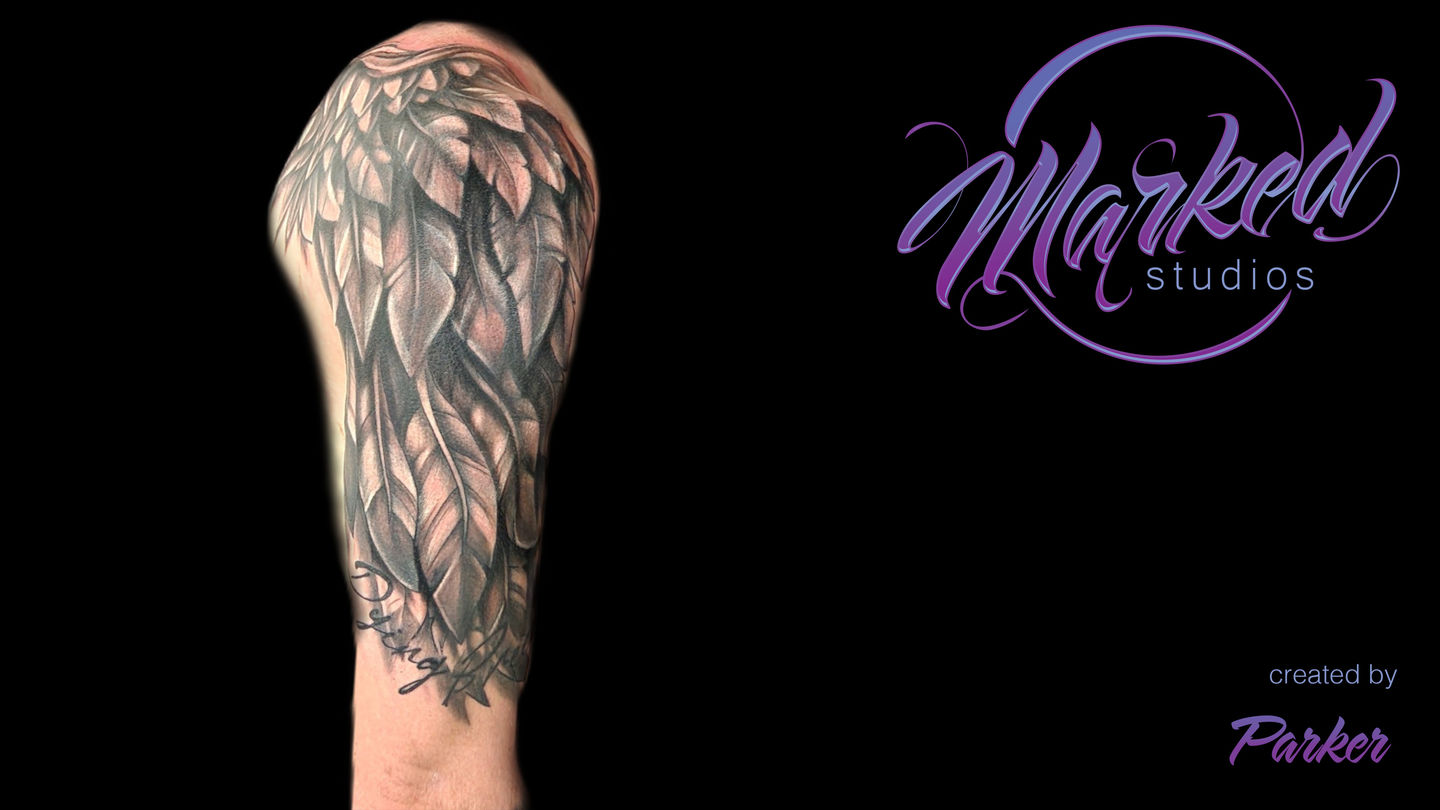 Parker_portfolio_tv_1