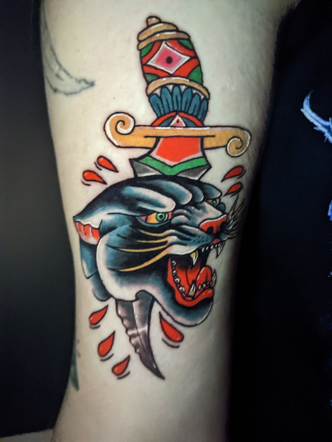 Pxl_20221119_220628310.night