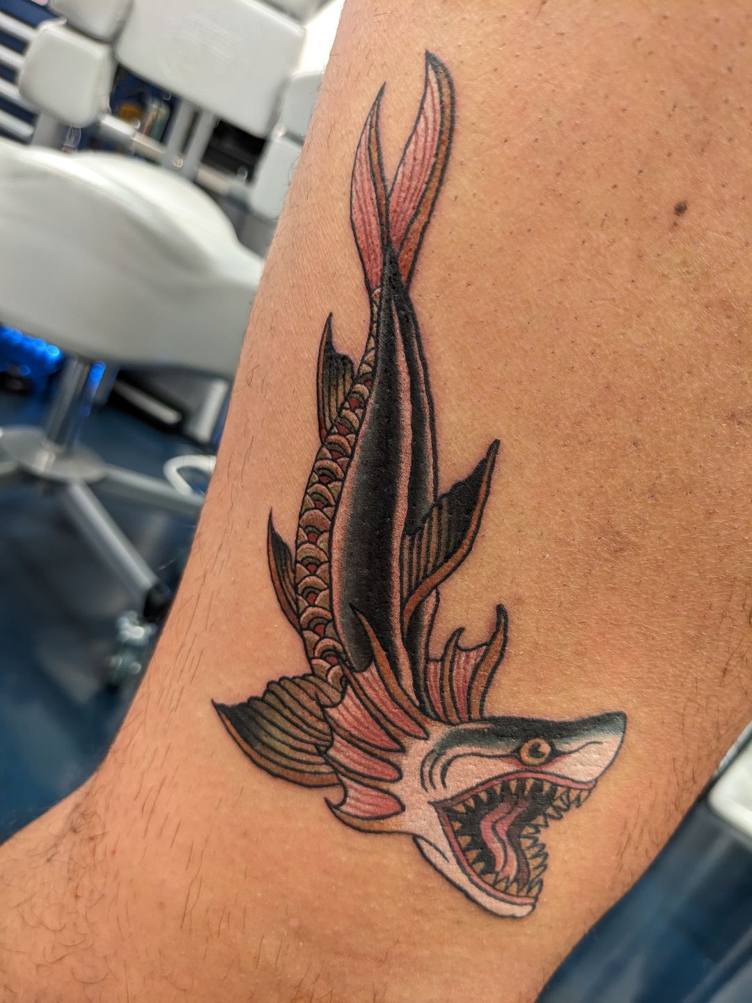 Pxl_20221210_005123486