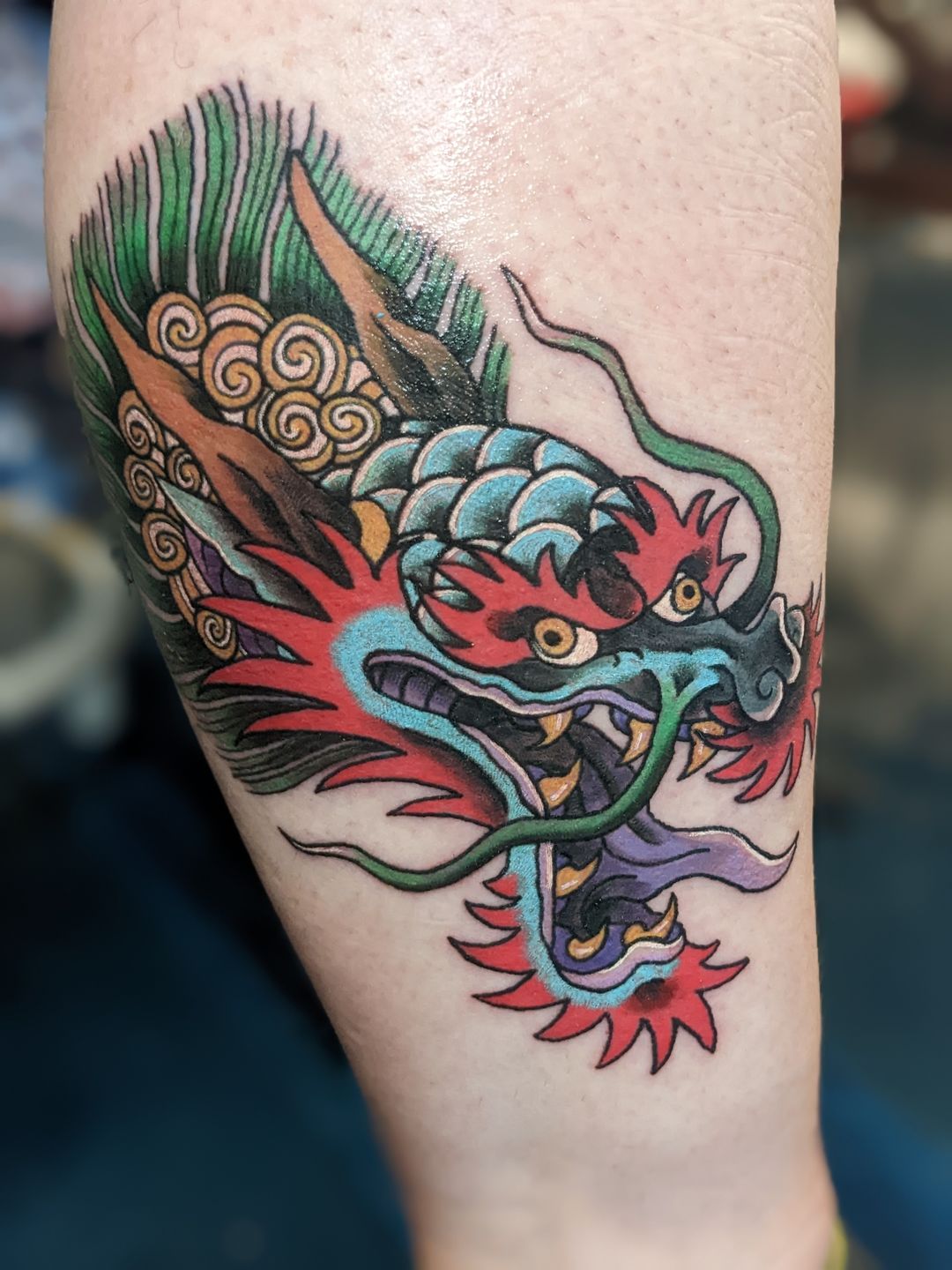 Pxl_20221127_024010305.portrait