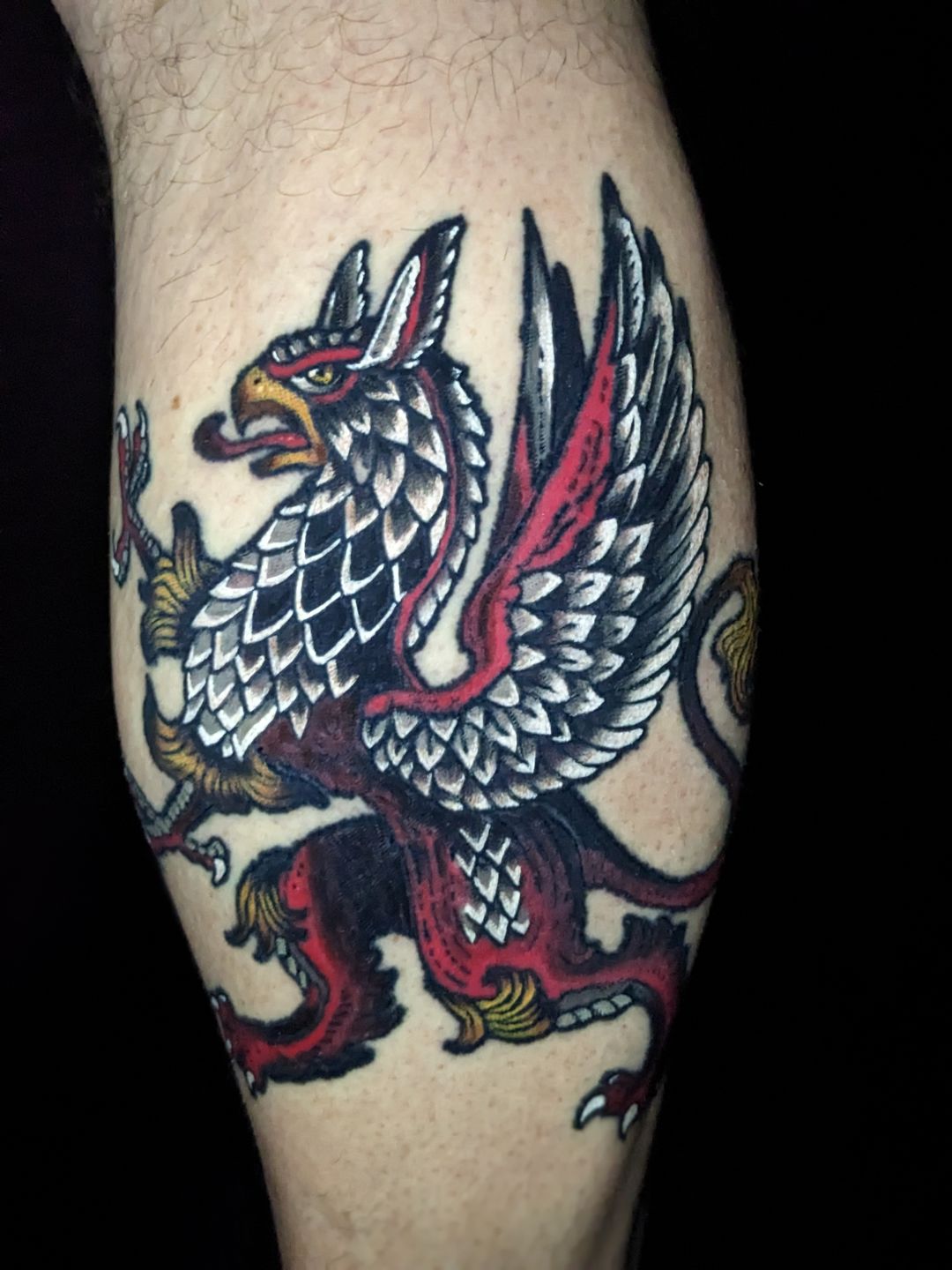 Pxl_20230112_205856786.portrait