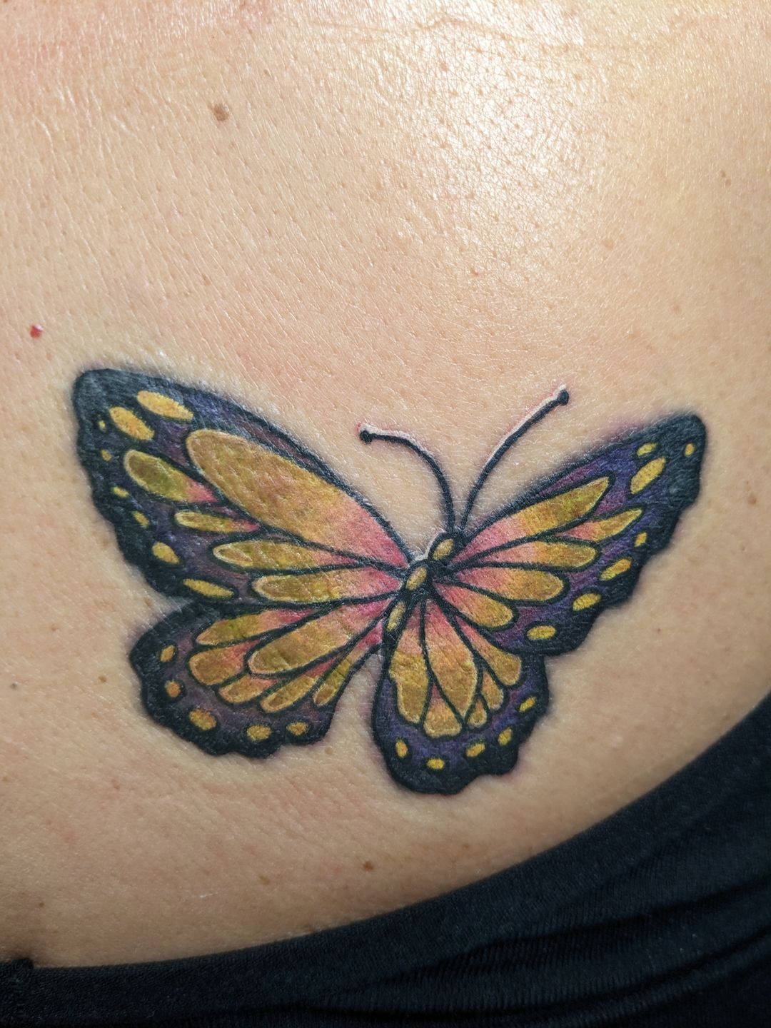 Pxl_20230211_204603739