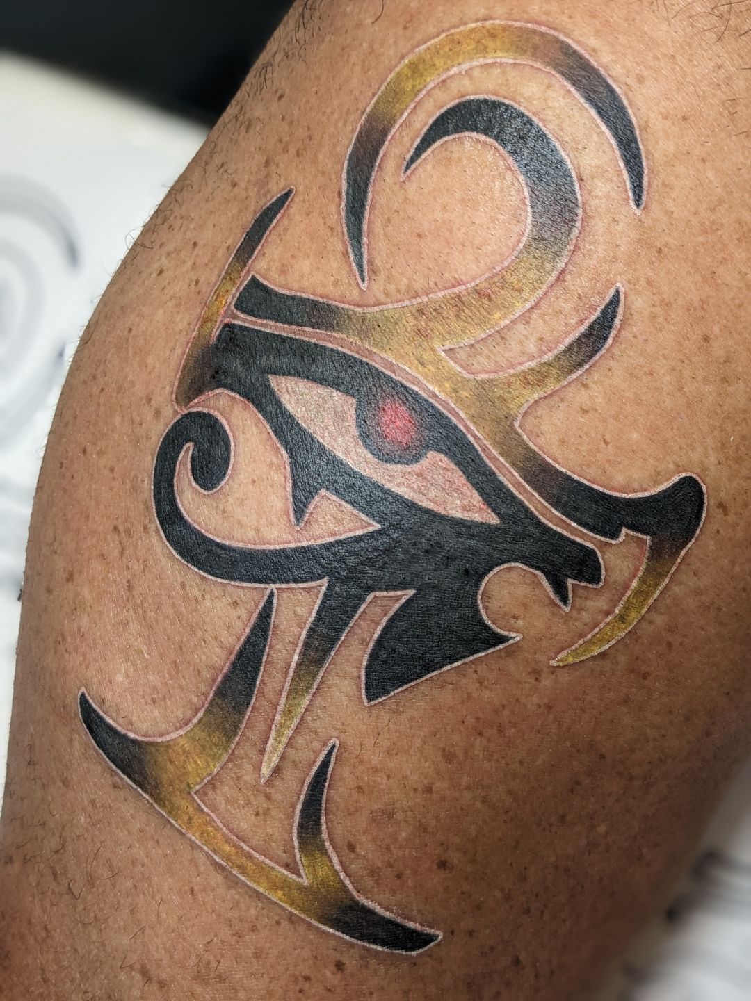 Pxl_20230315_220143780.portrait