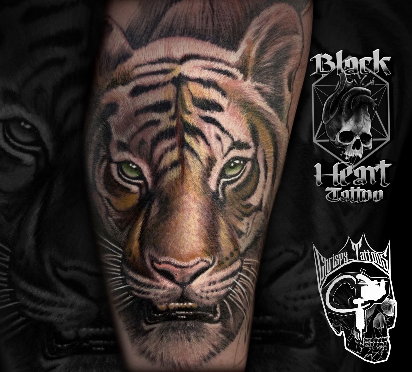 4ea80631-46fa-46fb-bbff-cc8116d90afc