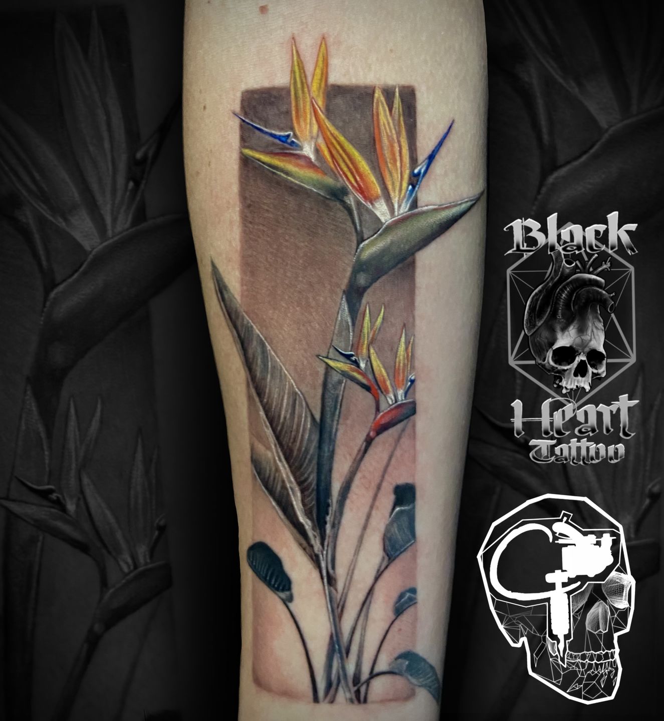 07e58636-1790-4bab-b44a-46011fd9bed3